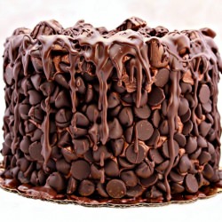 Chocolate Wasted Cake