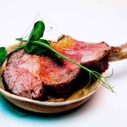 Lamb Chop