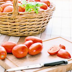 Home Made Tomato Sauce