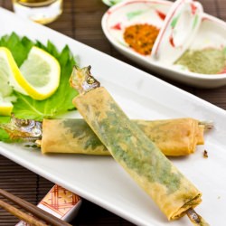 Shishamo Wrap