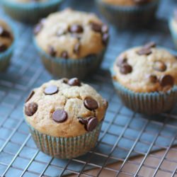 Banana Chocolate Chip Muffins