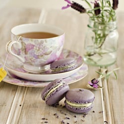 Lavender Macarons