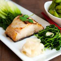 Black Cod with Miso