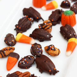 Creepy Chocolate Cockroaches
