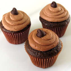 Mini Chocolate Cupcakes