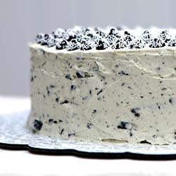 Mint Chocolate Chip Cake
