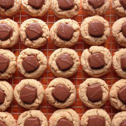Dove Peanut Blossoms