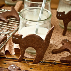 Chocolate Cat Cokies
