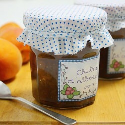 Chutney