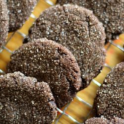 Mexican Chocolate Snickerdoodles