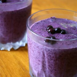Wild Blueberry Shake