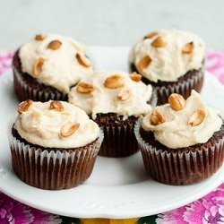 Chocolate Cupcakes
