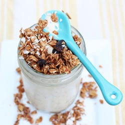 Pumpkin Pie Yogurt