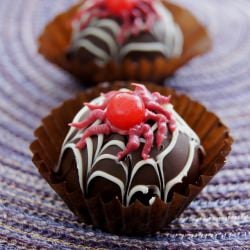 Spider Chocolate Truffles