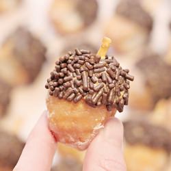 Donut Hole Acorns
