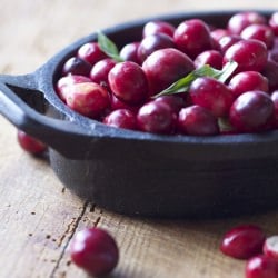 White on Rice Photography Tips
