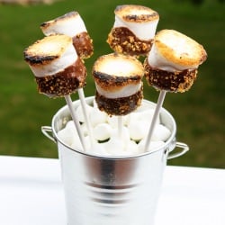 S’more Pops