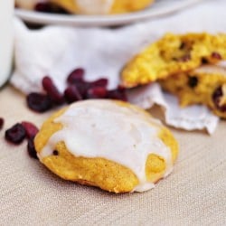 Pumpkin Cranberry Cookies