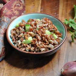 Red Rice Salad