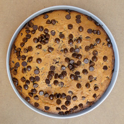 Chocolate Chip Cake