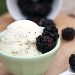 Honey-Poppyseed Frozen Yogurt