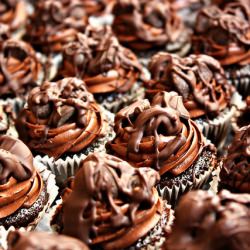 Chocolate Wasted Mini Cupcakes