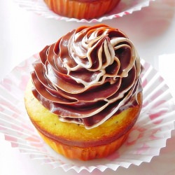Chocolate Cupcakes
