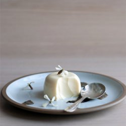 Coconut Panna Cotta