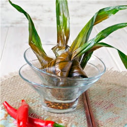 Pandan Chicken