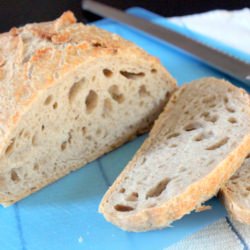 Classic No-Knead Bread