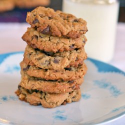 Nutty Oatmeal Chocolate Chip Cookie