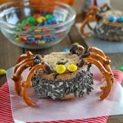 Ice Cream Sandwich Spiders