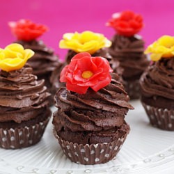 Chocolate Cupcakes