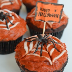 Spider Cupcakes