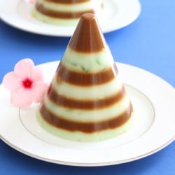 Cendo Pudding