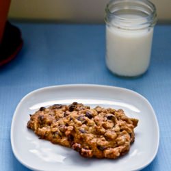 Pumpkin Oatmeal Chocolate Chip Cookies
