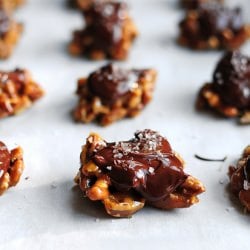 Turtle Candies