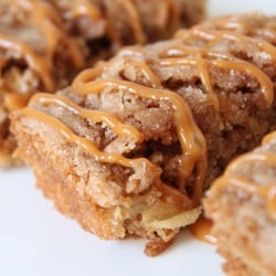Whole Grain Cinnamon Apple Squares