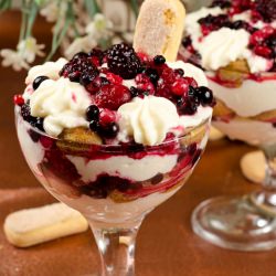 Tiramisu with Berries