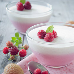 Yogurt Panna Cotta