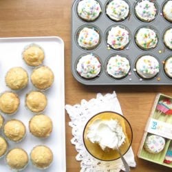 Gluten Free Girly Girl Cupcakes