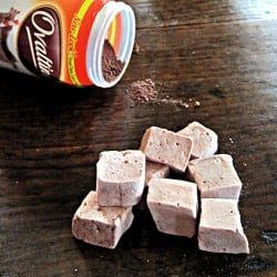 Chocolate Malt Marshmallows