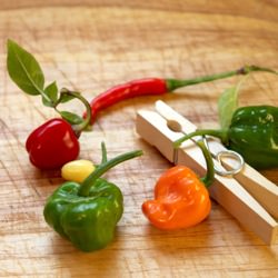 Home Grown Chillies