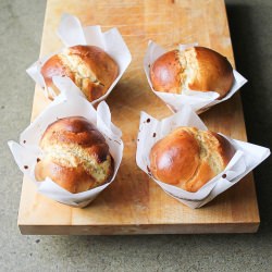Brioche