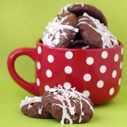 Double Chocolate Candy Cane Cookies