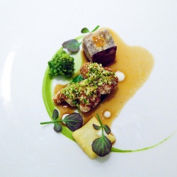 Lamb