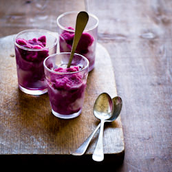 Concord Grape Sorbet