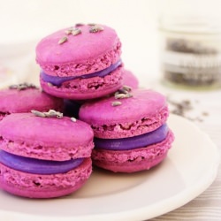 Lavender Macarons