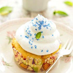 Vanilla Cupcakes