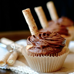 Chocolate Cupcakes